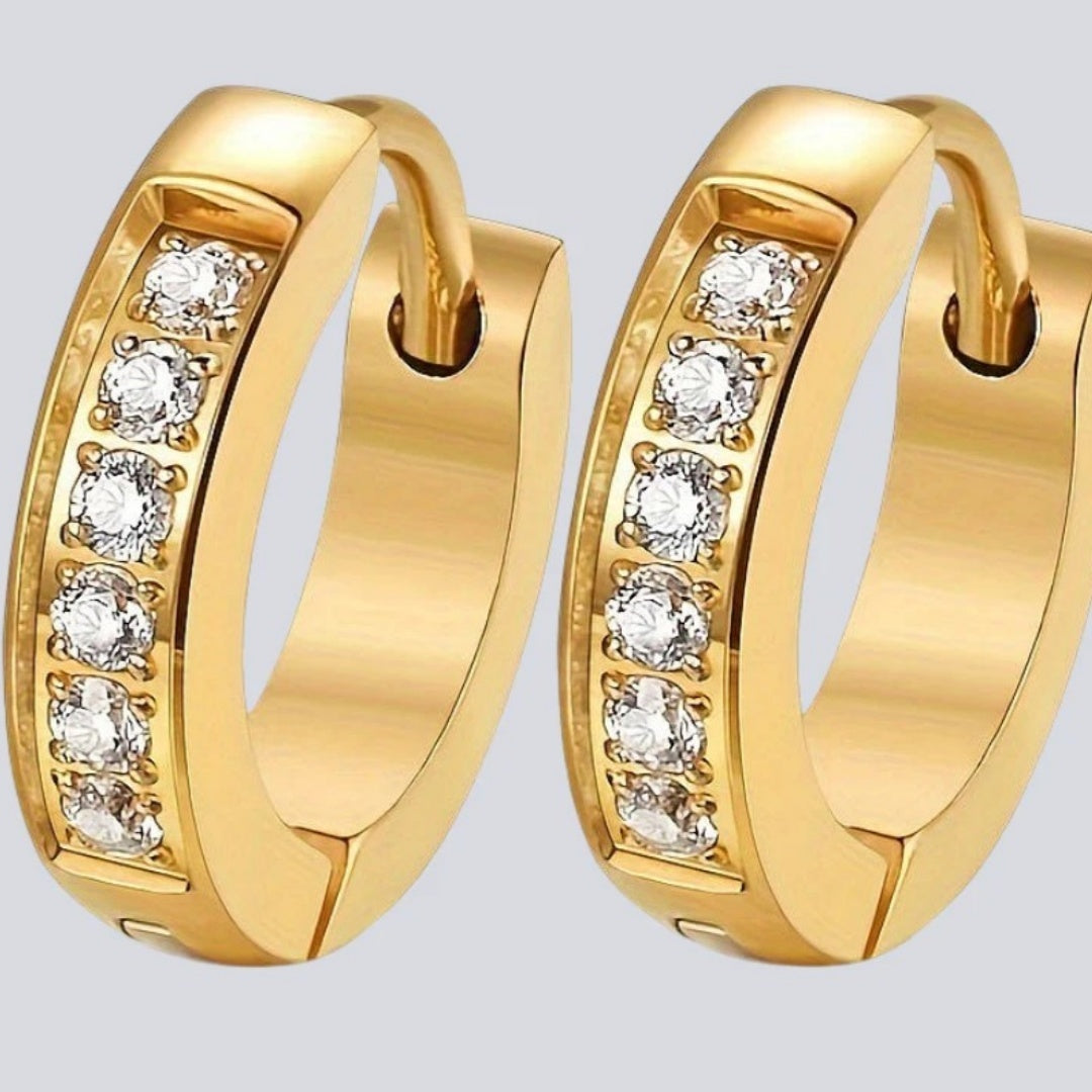 Female Leisure Haoshi Fashionable Titanium Steel Earrings